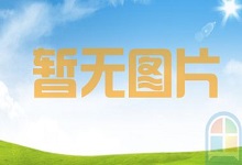 如何為域名添加NS記錄-域名頻道IDC知識庫