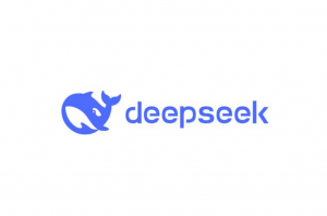 本地部署deepseek能干嘛-域名頻道IDC知識庫